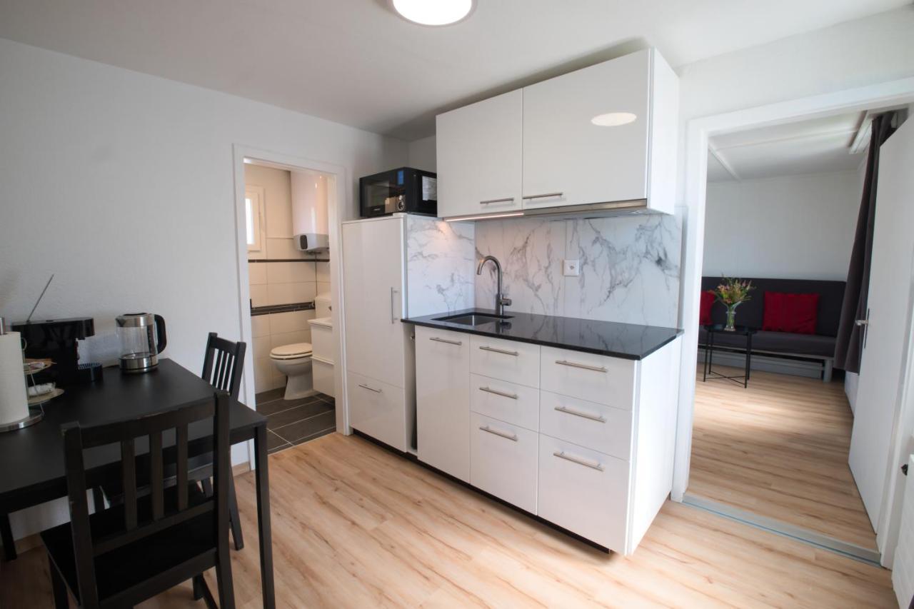 Lake Getaway Apartment With Private Entrance, Right On The Lake Constance Cycle Path, Barbecue Area, Free Wifi, Netflix And Free Bikes Salmsach Exteriör bild