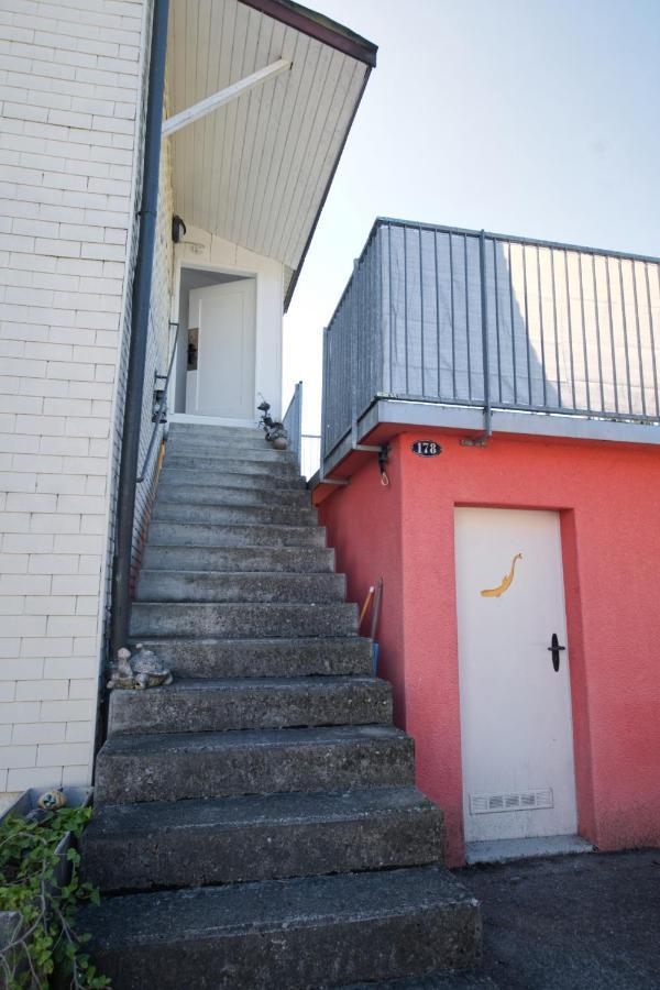 Lake Getaway Apartment With Private Entrance, Right On The Lake Constance Cycle Path, Barbecue Area, Free Wifi, Netflix And Free Bikes Salmsach Exteriör bild